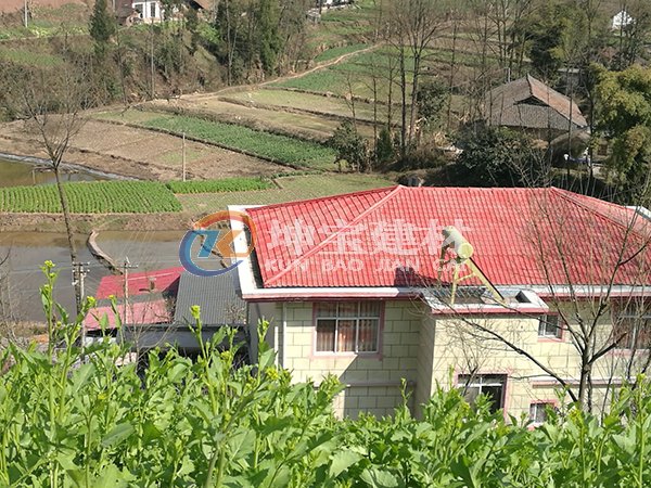 重慶姜先生家的合成樹(shù)脂瓦屋頂